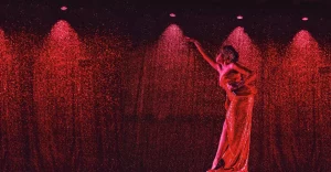 cabaret show paris paradis latin